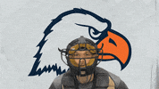 Cnbb21 GIF by Carson-Newman Athletics