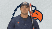 Cnbb21 GIF by Carson-Newman Athletics