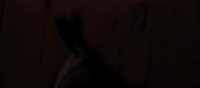 jason derulo GIF