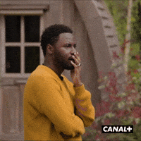 Irl Village GIF by CANAL+