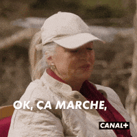 Irl Ok GIF by CANAL+