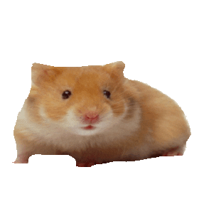 hamster STICKER by imoji