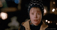 Christmas Wet Bandits GIF by Home Alone