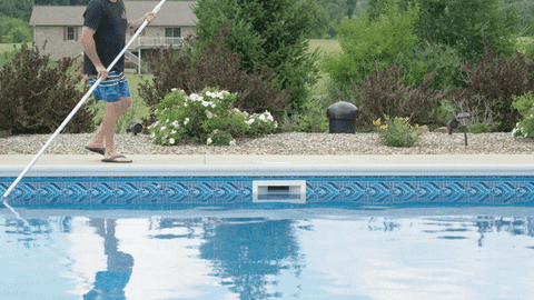 drinkdadwater giphyupload pool clean dad GIF