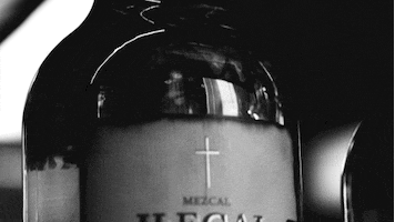 Party Singing GIF by Ilegal Mezcal