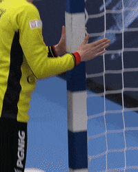 Goalkeeper Posts GIF by EHF