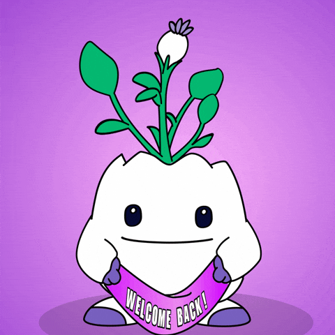 Happy Come Back GIF by Magic Eden