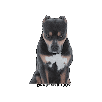 Angry Dog Sticker by TOM BROLIN
