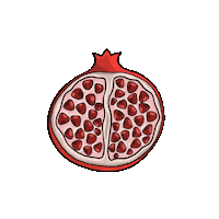 Fruit Berry Sticker