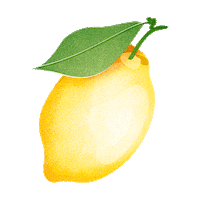 Lemon Lime Sticker by Spilled Milk