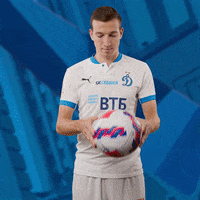 GIF by FC Dynamo Moscow