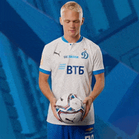 GIF by FC Dynamo Moscow