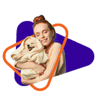 Petcamp gato cachorro petcamp redepetcamp Sticker