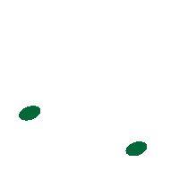 Flower Market Flowers Sticker by The Watering Can Flower Market