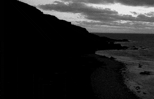 ingmar bergman GIF by Maudit