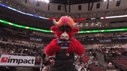 Represent Benny The Bull GIF by Chicago Bulls