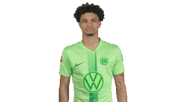 Football Hello Sticker by VfL Wolfsburg