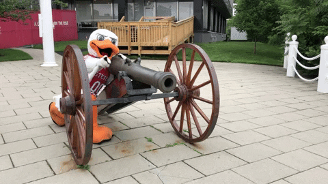 FollowStevens giphygifmaker cool duck cannon GIF