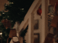 Home Alone Love GIF by BRACK.CH AG