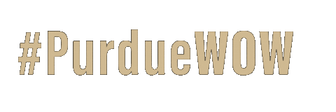 Student Life Wow Sticker by Purdue University