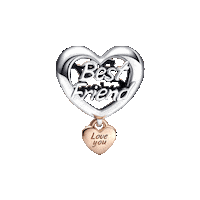 Best Friend Love Sticker by PANDORA