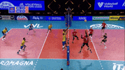 Take That Surprise GIF by Volleyball World