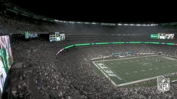 Regular Season Football GIF by NFL