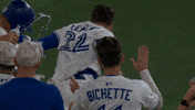 Blue Jays Baseball GIF by Toronto Blue Jays