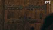 GIF by TRT