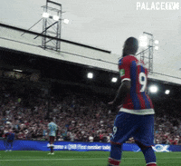 Crystal Palace Football GIF by CPFC