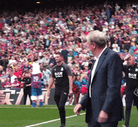 Crystal Palace Sport GIF by CPFC