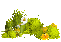 grass STICKER
