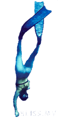 BlissDhigurah dive diving maldives freediving Sticker