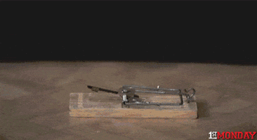 GIF by FirstAndMonday