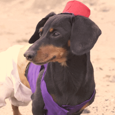 Magic Lamp Aladdin GIF by Crusoe