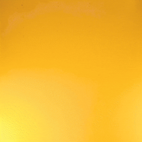 Whats Up Hello GIF by morrisjenkins