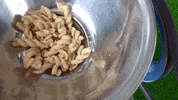 ExperimenMeatGrinder yellow meat underground experiment GIF