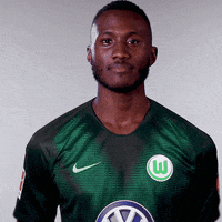 france good job GIF by VfL Wolfsburg