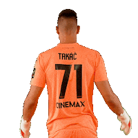 Spartak Trnava Football Sticker by Nike liga