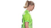 Sport Soccer Sticker by VfL Wolfsburg