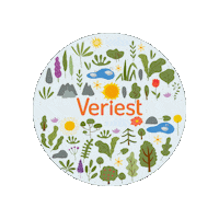 Team Event Sticker by Veriest Solutions