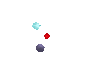 Bubble Circles Sticker