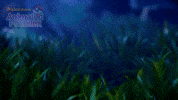 Confused Halloween GIF by Pokémon