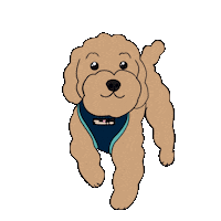 Dog Doodle Sticker