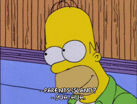 homer simpson GIF
