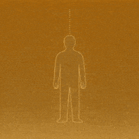 World Trickle Down GIF by WeQuorum