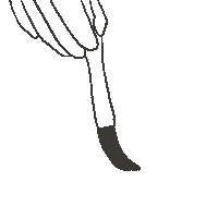 Painting Calligraphy Sticker