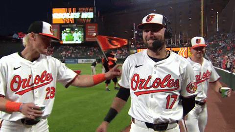 Major League Baseball Win GIF by MLB