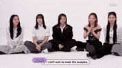 Puppy Interview GIF by BuzzFeed