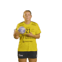 Rema1000Ligaen Sticker by Norsk Topphåndball